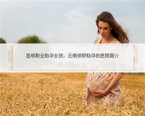 昆明职业助孕女孩，云南供卵助孕的医院简介