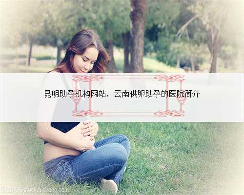 昆明助孕机构网站，云南供卵助孕的医院简介